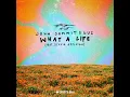 What A Life (feat. Stevie Appleton) - John Summit & GUZ