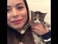 CHAT LIVE di Miranda Cosgrove insieme a dei teneri gattini