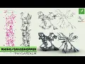 Grasshopper Tutorial Parametric Design physarealm