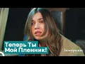 Download Lagu Сейран Похищена Из Особняка | Зимородок