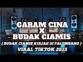 Download Lagu GARAM CINA X BUDAK CIAMIS X POK AME AME !! Speed BALAP