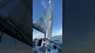 Sometime you know sail trim is right because the shapes are beautiful #ourladydefiant #yachtracing