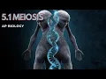 5 1 Meiosis The Process AP Bio Students ALWAYS Miss and SECRET YOU NEED TO KNOW