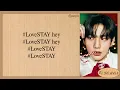 Download Lagu Stray Kids #LoveSTAY Easy Lyrics