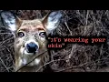 The Horrific Entities of Deep Appalachia