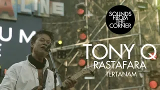 tony q rastafara tertanam sounds from the corner live 34