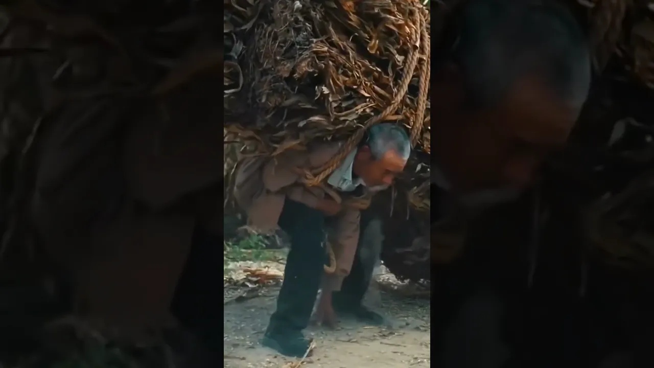父辈的肩膀就是生活的脊梁不能弯,父辈就是这样硬扛了一辈子!历史上最能吃苦的一代人快要退出历史舞台