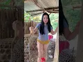 Lagu Intan Aninda