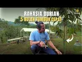 Lagu Rahasia Durian 5 Bulan Tumbuh Cepat! 🌱✨