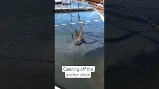 Cleaning off the anchor chaiñ before storing – Alameda, April 2023