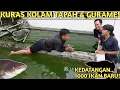 Lagu TERNIAT! KURAS DUA KOLAM SEKALIGUS UNTUK KEDATANGAN 1000 IKAN BARU