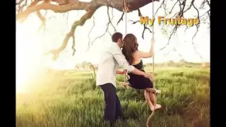 كفك بكفي  رضا دندنها