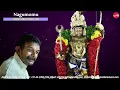 Nagumomu || Thyagaraja Aradhana 2022 || T M Krishna