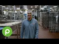 Come work with the Publix manufacturing team