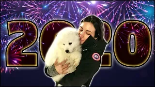 2020 NEW YEARS STREAM HIGHLIGHTS! | Alinity Highlights