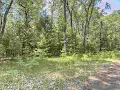 Baldwin MI Land