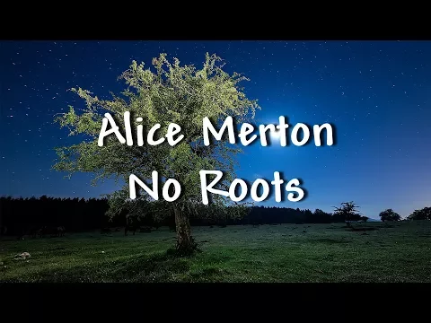 Download MP3 Alice Merton - No Roots - Lyrics