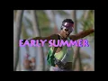 Download Lagu Miami Nights 1984 - Early Summer / Remake / HD