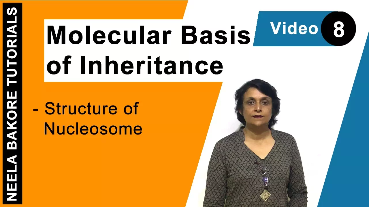 Molecular Basis of Inheritance | NEET | Structure of Nucleosome | Neela Bakore Tutorials