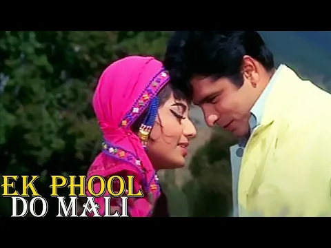 Download MP3 EK PHOOL DO MALI | एक फूल दो माली  Full Movie |Sanjay Khan And Sadhana Shivdasani ROMANTIC MOVIE