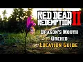 Dragon s Mouth Orchid - Location Guide Red Dead Redemption 2