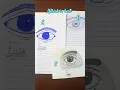 Download Lagu Which is the best eye drawing #comment #viral #trending #ytshorts