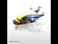 Sara Noxx - Flight 257