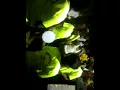 Download Lagu Dostana banjo parti jambut tal:sangamner dist:Ahmednagar