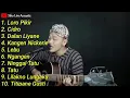 Download Lagu Siho full album akustik ( Lagu jawa terenak sepanjang masa )