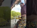 Download Lagu Bapak Ini GELANTUNGAN Di Jembatan Kaya TARZAN❗😮#videoviral #kapal #lucu
