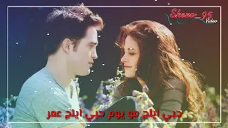 عباس الامير و حنين حداد حبي الاولي 