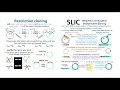 SLIC cloning Sequence and Ligation Independent Cloning theory workflow