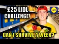 Download Lagu £25 GROCERY CHALLENGE! Can JoJo last the week LIVING ON A BUDGET?