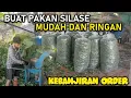 Download Lagu CARA MUDAH DAN MURAH  BIKIN PAKAN SILASE UNTUK KAMBING DOMBA, PETERNAK PEMULA PUN BISA.