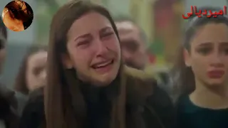 محمد الحلفي بيه حجي لو ينحجي خف عليه هواي من جروحي 