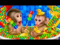 Download Lagu الليلة الأولى | ليالي الامتحان الأخيرة| ثالثة ثانوي ٢٠٢٥ مع أ. محمد صلاح