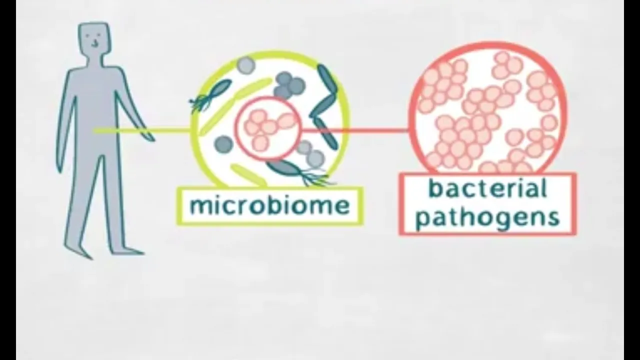 Combatting Antibiotic Resistant Bacterial Pathogens