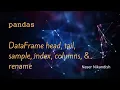 DataFrame head tail sample index columns and rename