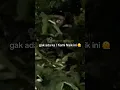 Download Lagu ITU APAAN C0K😱 #viral #shorts #jin #ghost #pocong #kuntilanak #kuyang #misteri #hantu #trending