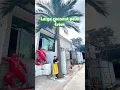 Download Lagu 🏝️ Kemewahan Tropis yang Tak Terpecahkan! Pohon Kelapa Lggartificialplant — Ikon Anti-UV untuk Luar Ruangan
