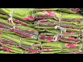 Download Lagu फुल stock के साथ नया धमाका shankar brand के साथ ☎️9518483859