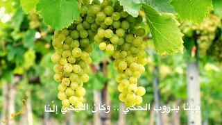          تحت العريشة سوى   فيروز دندنها
