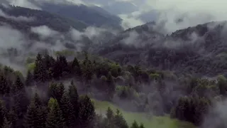 Карпатський звук у тиші ранній 