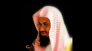 الجزء الثالث والعشرون بصوت القارى الشيخ سعود الشريم 