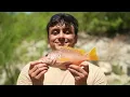 I Caught Rare Ocean Animals Without Moving!