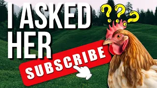 Why YOU are Not Gaining Subscribers on YouTube