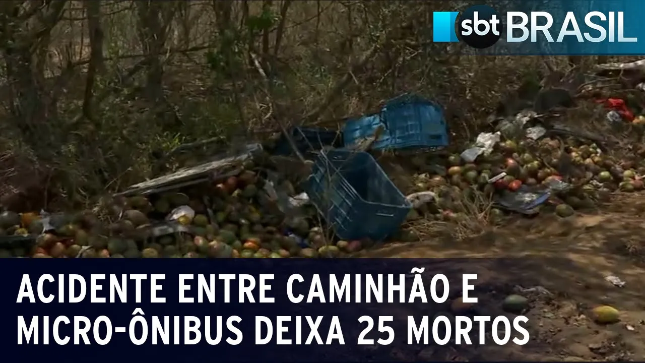 Acidente envolvendo caminhão e micro-ônibus deixa 25 mortos na Bahia | SBT Brasil (08/01/24)