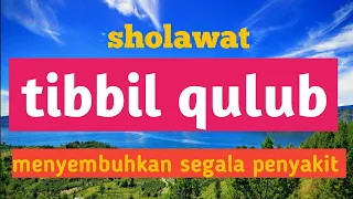 Download sholawat tibbil qulub MP3