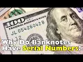 What Do the Numbers on Banknotes Actually Mean