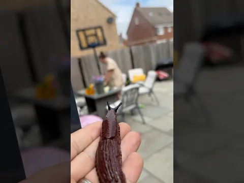How to never cook again.